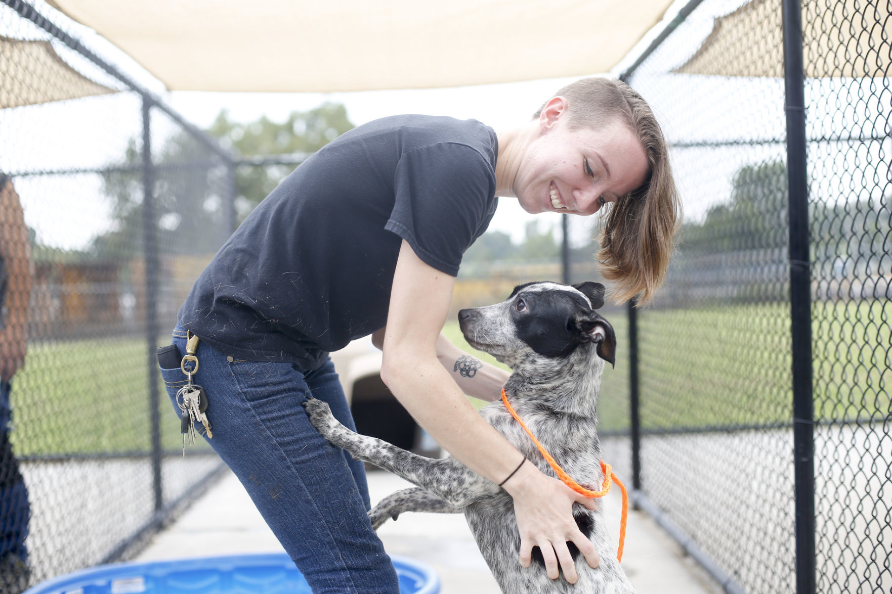 Clear the Shelter